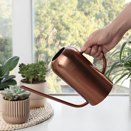 Fluora – 1.5L Stainless Steel Watering Can with Long Spout