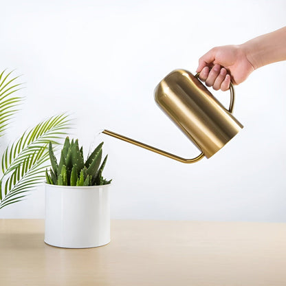 Fluora – 1.5L Stainless Steel Watering Can with Long Spout