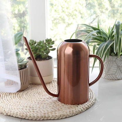 Fluora – 1.5L Stainless Steel Watering Can with Long Spout