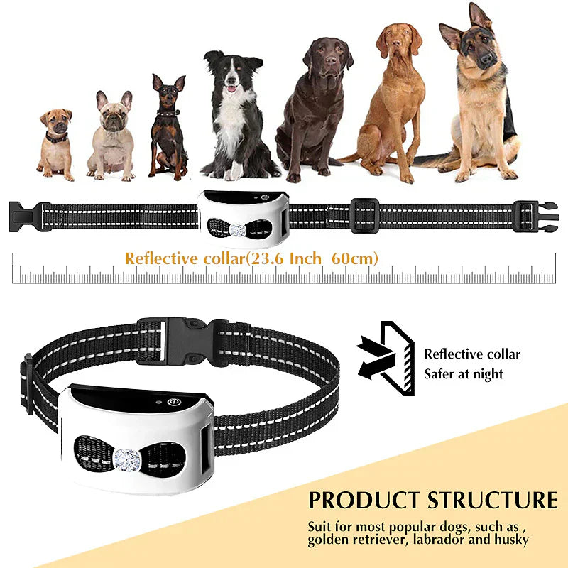 2-in-1 Wireless Dog Fence & Outdoor Training Collar – Waterproof, Rechargeable, 300m Range