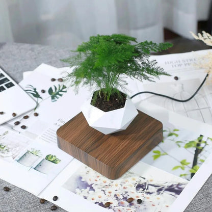 Levitate Luxe Bonsai Planter – A Mesmerizing Floating Display