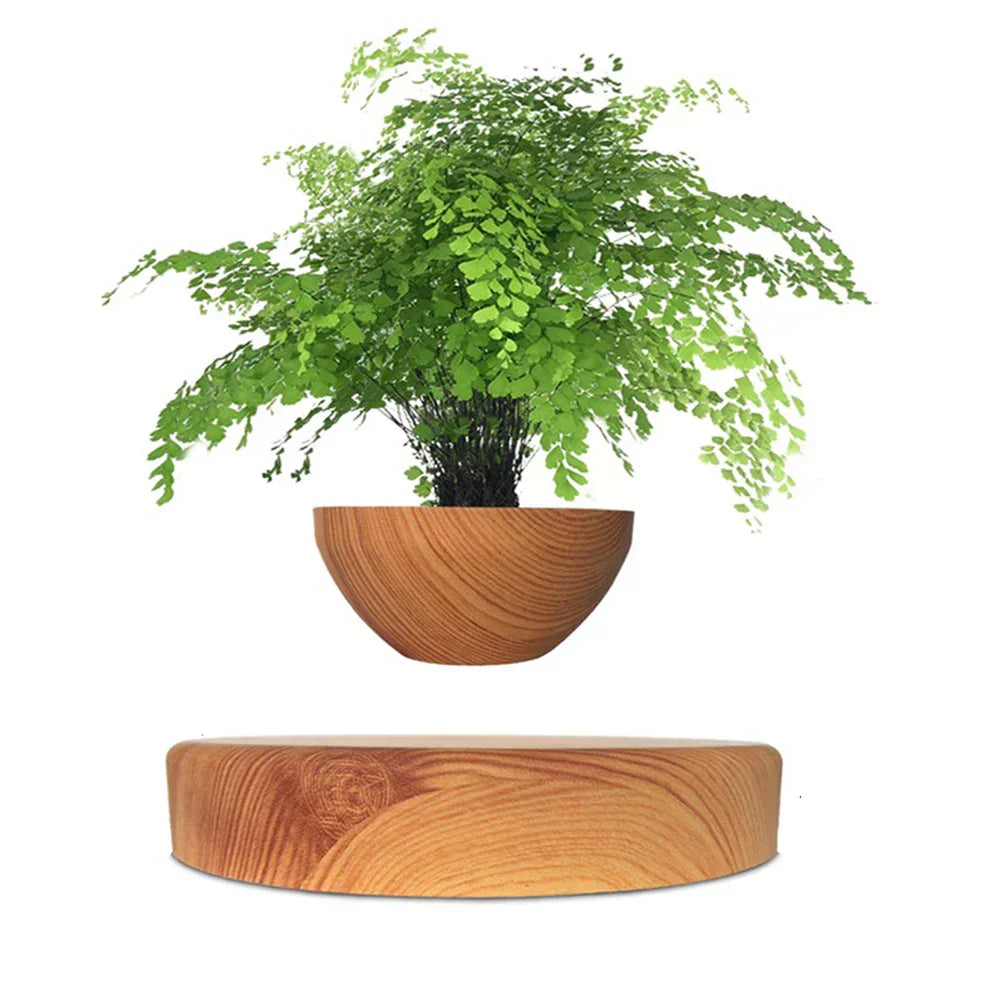 Levitate Luxe Bonsai Planter – A Mesmerizing Floating Display