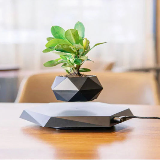 Levitate Luxe Bonsai Planter – A Mesmerizing Floating Display