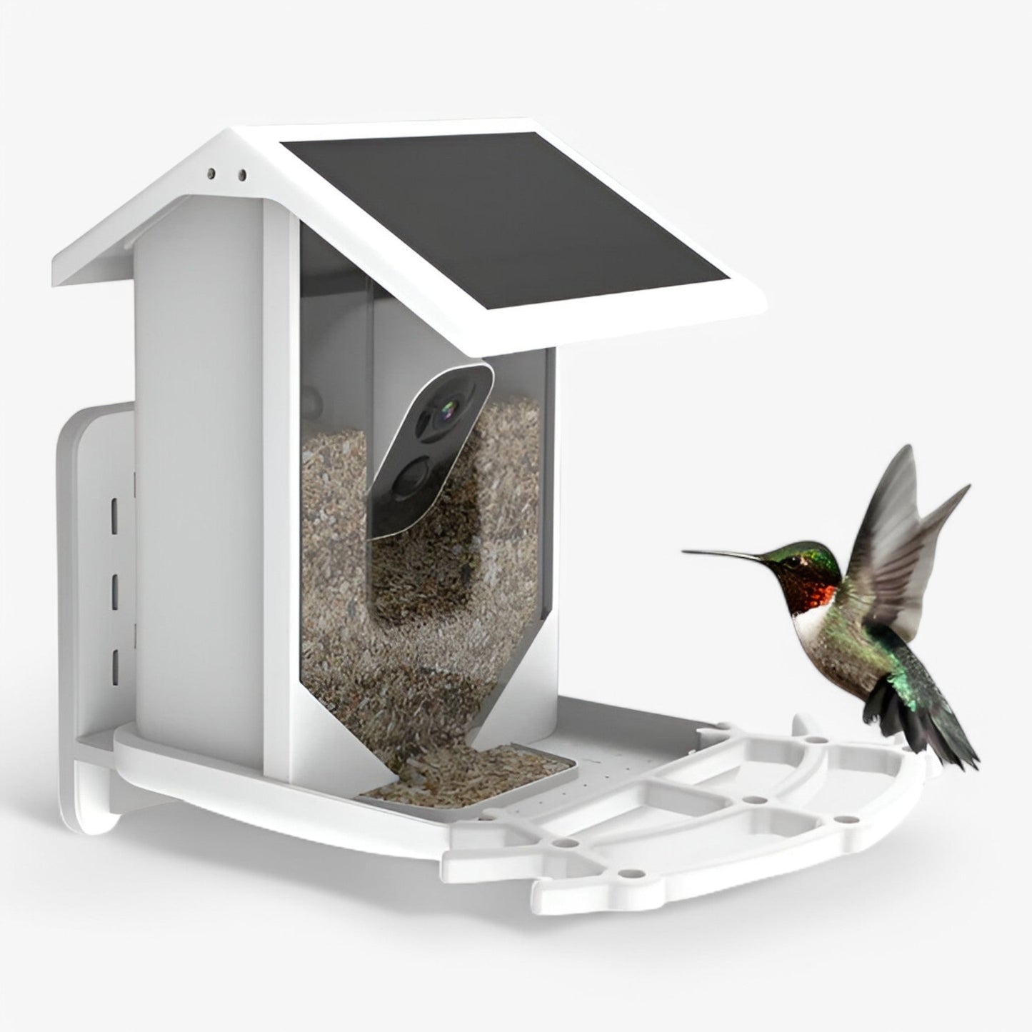 Auxco | Smart Bird Feeder with 1080P HD Camera, AI Bird Recognition & Solar Charging
