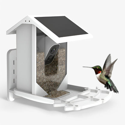 Auxco | Smart Bird Feeder with 1080P HD Camera, AI Bird Recognition & Solar Charging