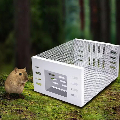 Humane Mouse Trap for Safe & Effective Pest Control – Reusable Large Capacity