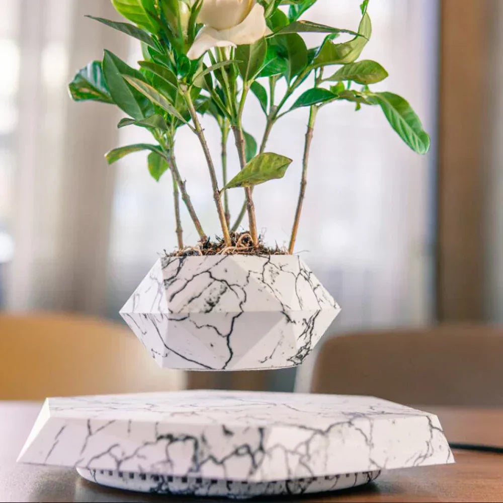 Levitate Luxe Bonsai Planter – A Mesmerizing Floating Display