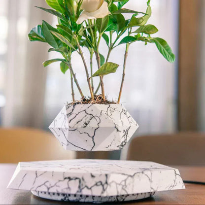 Levitate Luxe Bonsai Planter – A Mesmerizing Floating Display