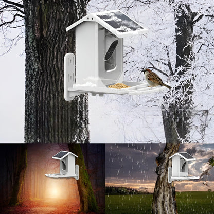 Auxco | Smart Bird Feeder with 1080P HD Camera, AI Bird Recognition & Solar Charging