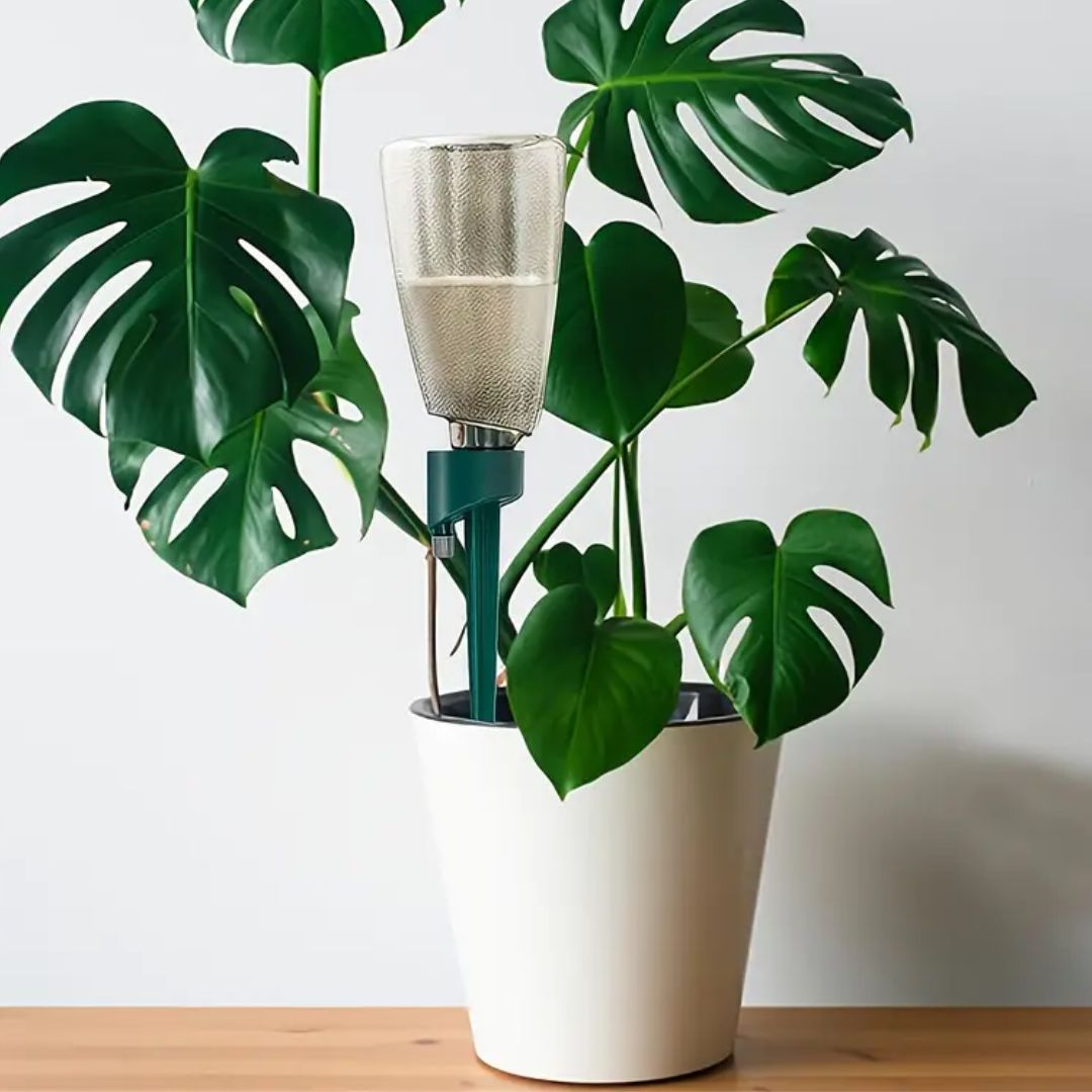 Automatic Plant Watering Device – Easy, Hassle-Free Watering System for Indoor & Outdoor Plants