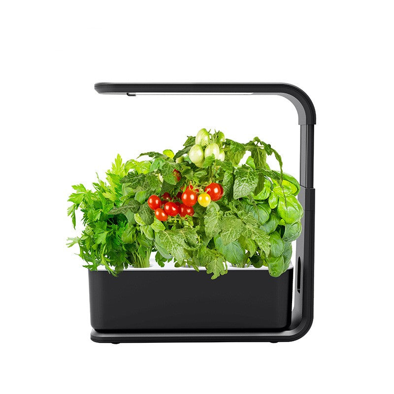 Indoor Smart Hydroponic Planter – Self-Watering Indoor Garden System for Healthy Plants