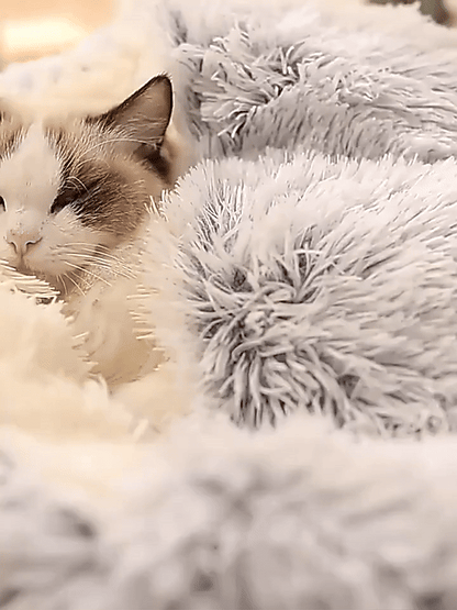 Cozy Cave Pet Bed | Calming & Comfortable Dog Bed for Deep Relaxation