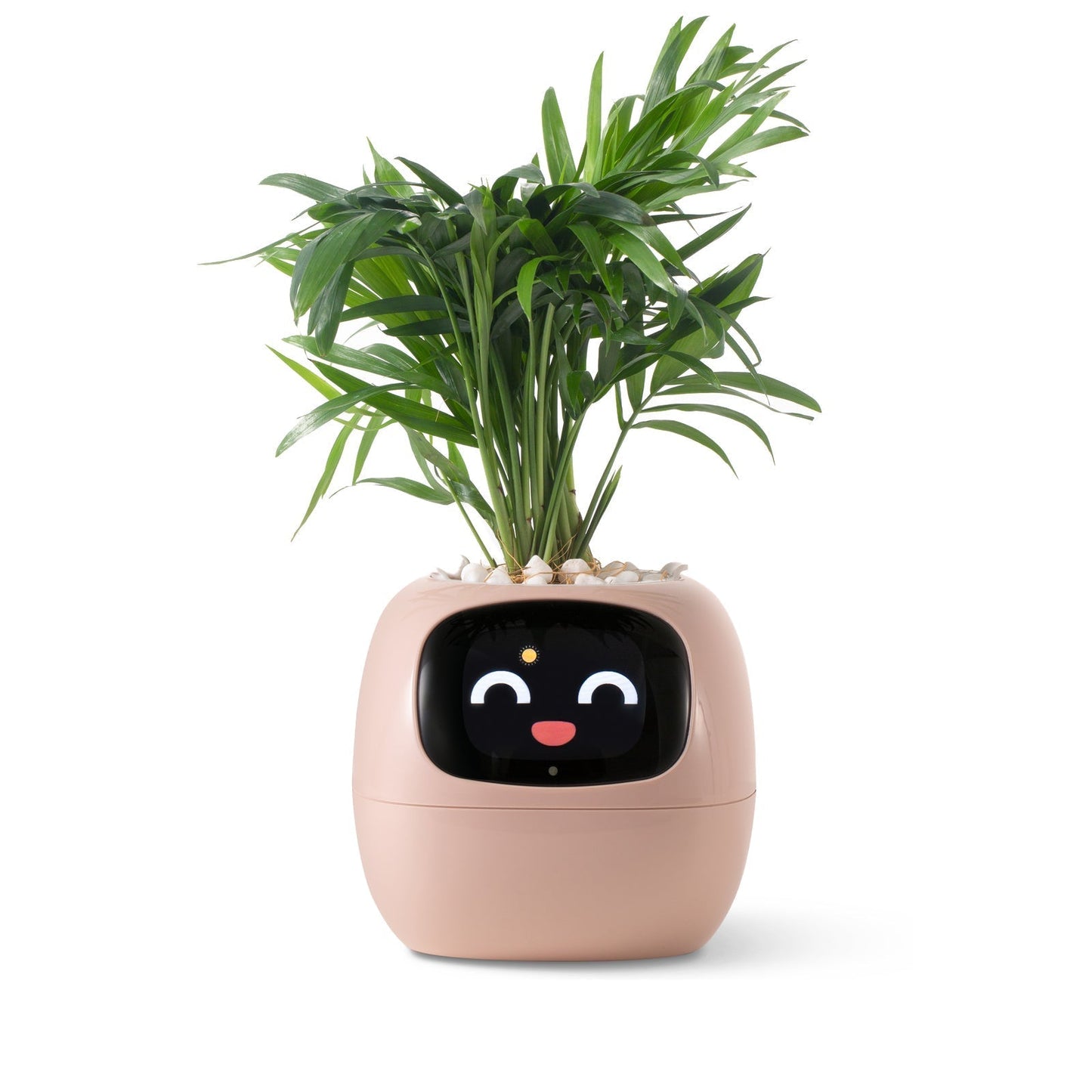 VerdeGlow – Self-Watering Smart Plant Pot | Automatic Irrigation | Modern Indoor Planter