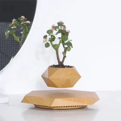 Levitate Luxe Bonsai Planter – A Mesmerizing Floating Display
