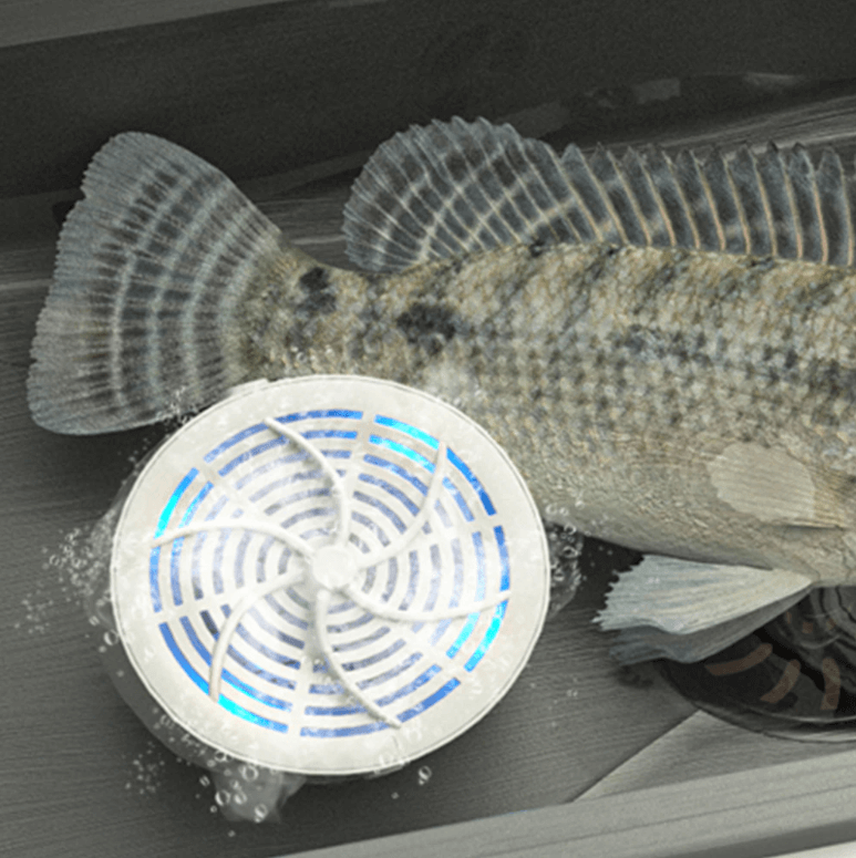 Food Clean Pro | Portable Fruit & Vegetable Purifier with OH-Ion Technology