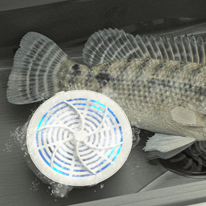 Food Clean Pro | Portable Fruit & Vegetable Purifier with OH-Ion Technology