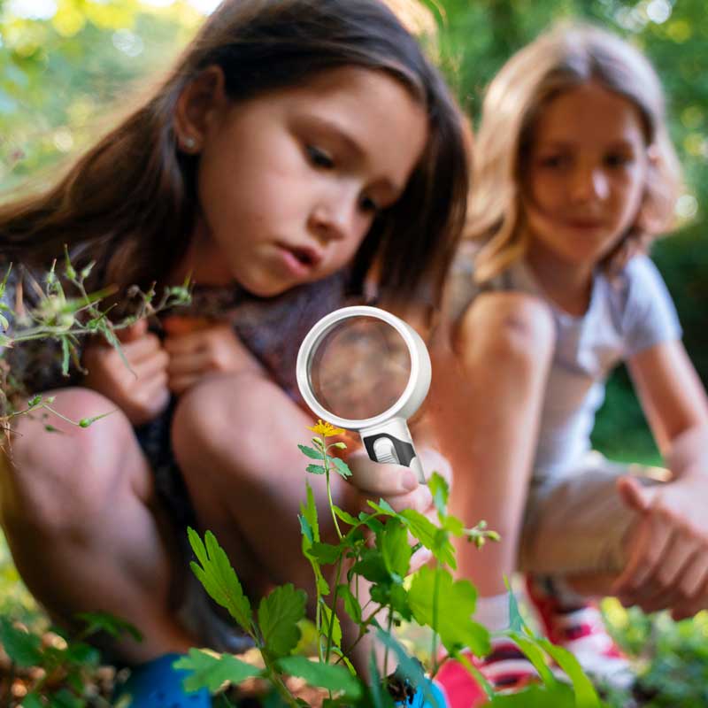 Optical Magnifying Glass