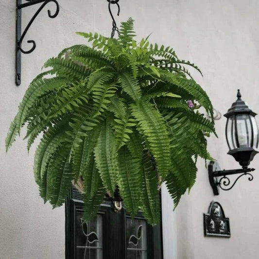UV Resistant Artificial Boston Fern – Lifelike Greenery for Indoor & Outdoor Spaces
