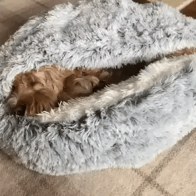 Cozy Cave Pet Bed | Calming & Comfortable Dog Bed for Deep Relaxation