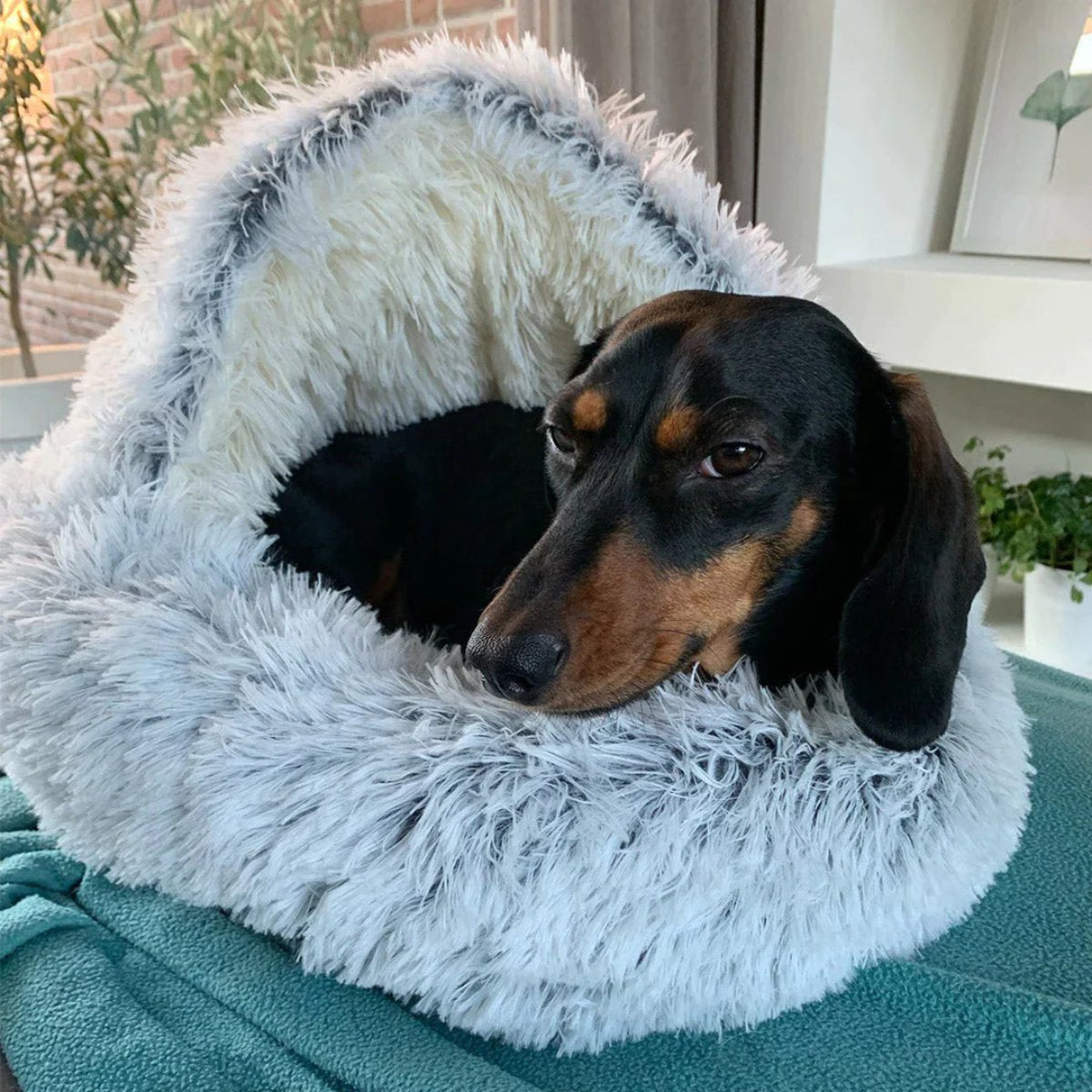 Cozy Cave Pet Bed | Calming & Comfortable Dog Bed for Deep Relaxation