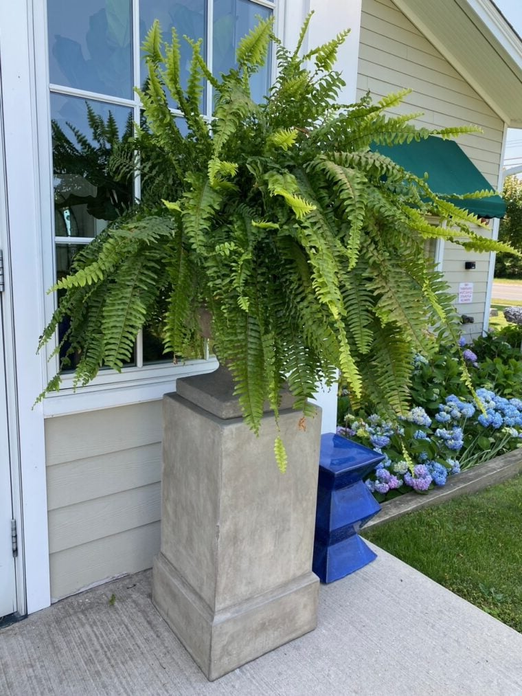 UV-Resistant Lifelike Artificial Boston Fern – Perfect for Outdoor Décor