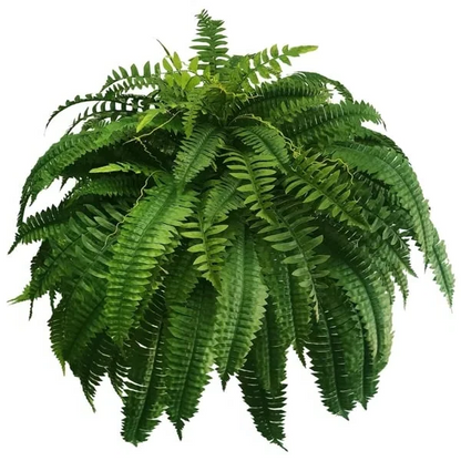 UV-Resistant Lifelike Artificial Boston Fern – Perfect for Outdoor Décor