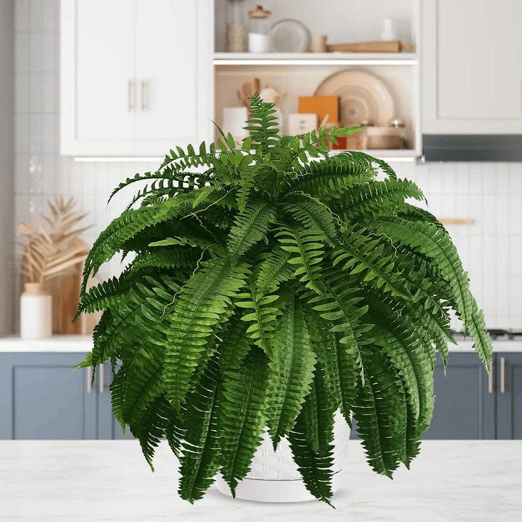 UV-Resistant Lifelike Artificial Boston Fern – Perfect for Outdoor Décor